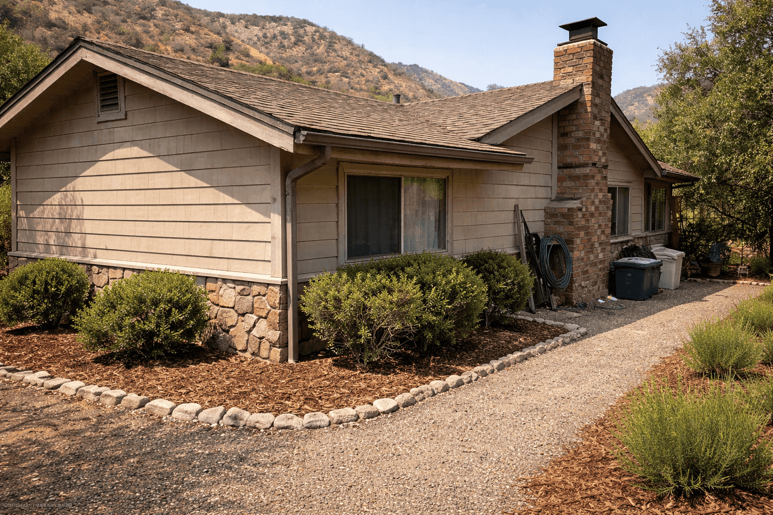 Overgrown Property Transformation - After